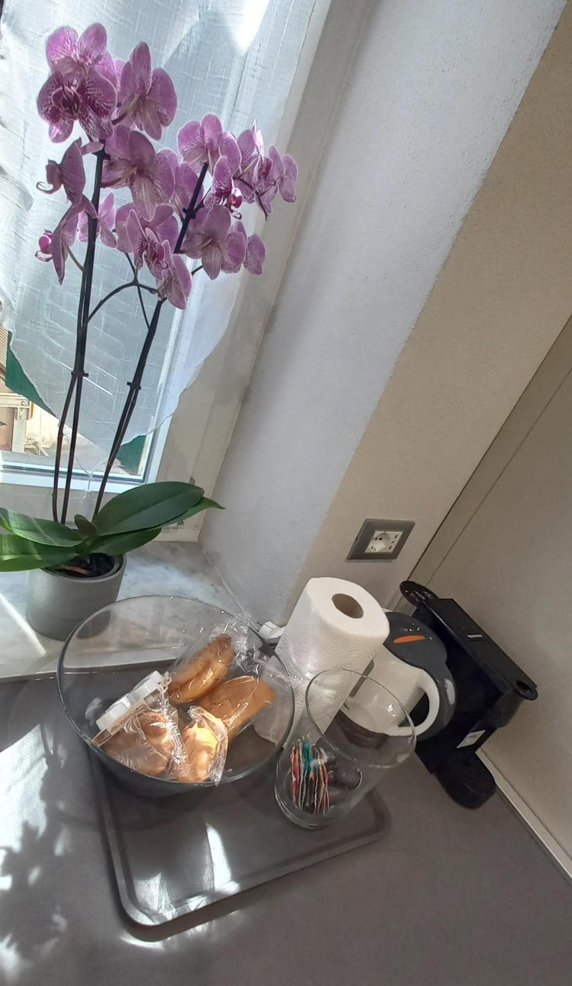 Apartament Baxeico Old Town Parking Free Genua Zewnętrze zdjęcie